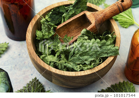 Dry nettle in wooden mortar Dry nettle in wooden mortar 101017544