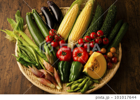夏野菜 集合 夏野菜 集合 101017644