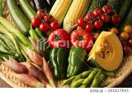 夏野菜　集合 101017645