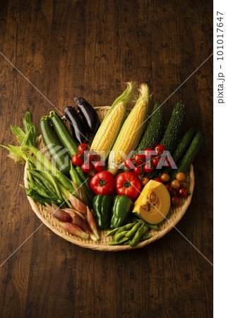 夏野菜 集合 夏野菜 集合 101017647