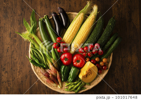 夏野菜 集合 夏野菜 集合 101017648