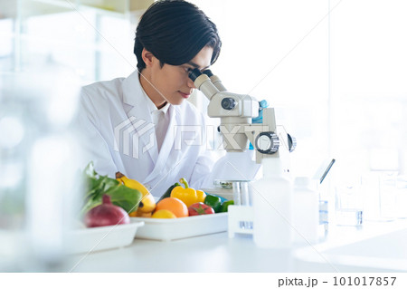 顕微鏡で野菜の成分を観察する若い研究者　管理栄養士 101017857