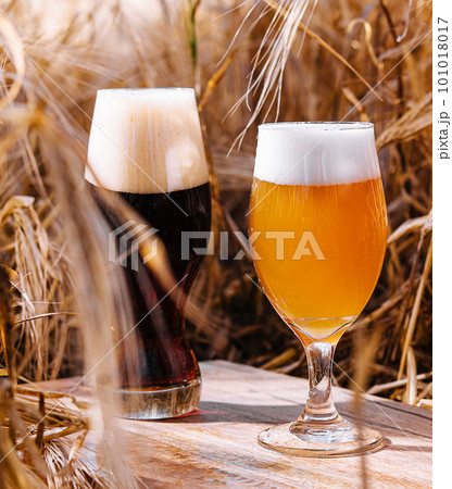 unfiltered and dark glasses of beer in a wheat field unfiltered and dark glasses of beer in a wheat field 101018017