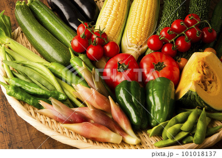 夏野菜　集合 101018137