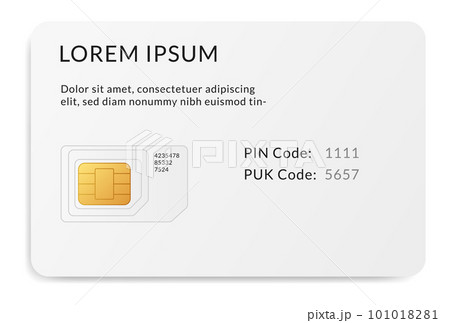 Sim card type, icon isolated. Smart cellular wireless communication gsm chip, electronics or telecommunication microchip design on white. Vector mobile technology 101018281