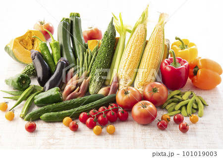 夏野菜　集合 101019003
