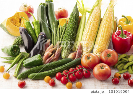 夏野菜　集合 101019004