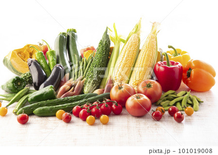 夏野菜 集合 夏野菜 集合 101019008