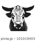 Bull s head full face. Brutal look. Hand drawn in graphic black and white style. Vintage vector graphics for posters and social media. Logo, poster for advertising, milk packaging. 101019403