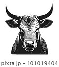 Bull s head full face. Brutal look. Line sketch. Hand drawn in graphic black and white style. Vintage vector graphics for posters and social media. Logo, poster for advertising, milk packaging. 101019404