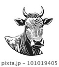 The head of a cow and a bull. Hand drawn in graphic black and white style. Vintage vector engraving for poster and social media. networks. Isolated on white background. 101019405