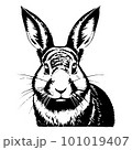Hand drawn portrait of a rabbit head. Sketch, picture of an Easter Bunny. Black and white illustration, hand drawn sketch. Engraving, vector illustration 101019407