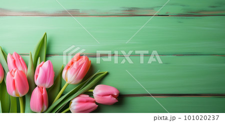 Tulip border with copy space. Beautiful frame composition of spring flowers. Bouquet of pink tulips flowers on green vintage wooden background Tulip border with copy space. Beautiful frame composition of spring flowers. Bouquet of pink tulips flowers on green vintage wooden background 101020237