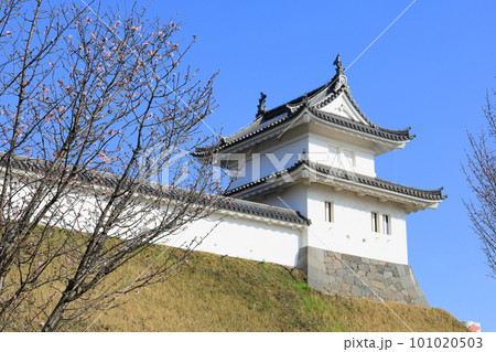 桜咲く宇都宮城址公園/栃木県宇都宮市 桜咲く宇都宮城址公園/栃木県宇都宮市 101020503