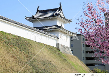 桜咲く宇都宮城址公園/栃木県宇都宮市 桜咲く宇都宮城址公園/栃木県宇都宮市 101020507