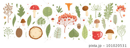 Collection of wild blooming meadow flowers isolated on white background and mushrooms. Bundle of wildflowers used in floristry. Set of decorative floral design elements. Flat colorful botanical vector Collection of wild blooming meadow flowers isolated on white background and mushrooms. Bundle of wildflowers used in floristry. Set of decorative floral design elements. Flat colorful botanical vector 101020531