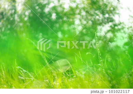 Glowing background with bokeh Glowing background with bokeh 101022117