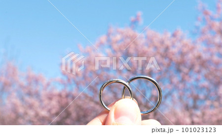 桜と指輪 101023123