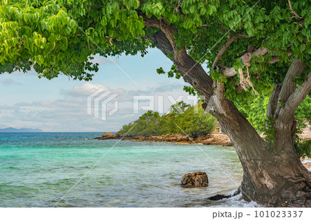 Landscape, sea, southeast asia. Beautiful landscape, Koh Larn island, Pattaya, Thailand. Landscape, sea, southeast asia. Beautiful landscape, Koh Larn island, Pattaya, Thailand. 101023337