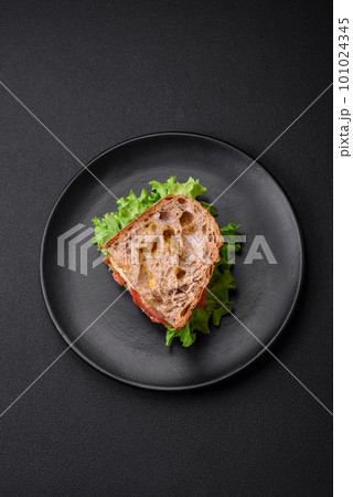 Delicious sandwich with crispy toast, chicken, tomatoes and lettuce Delicious sandwich with crispy toast, chicken, tomatoes and lettuce 101024345