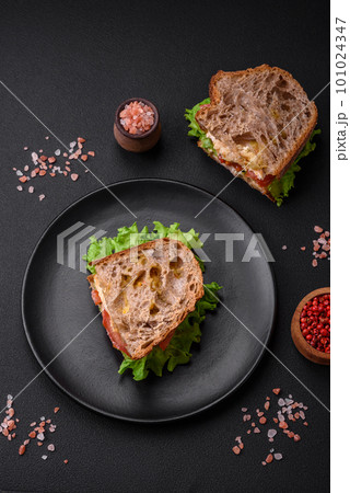 Delicious sandwich with crispy toast, chicken, tomatoes and lettuce Delicious sandwich with crispy toast, chicken, tomatoes and lettuce 101024347