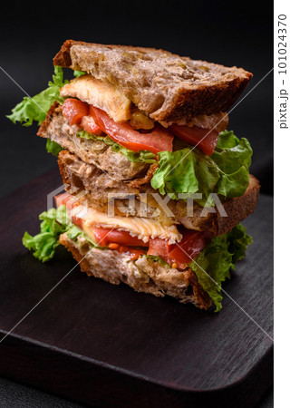 Delicious sandwich with crispy toast, chicken, tomatoes and lettuce 101024370