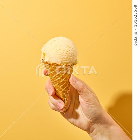 vanilla ice cream vanilla ice cream 101025509