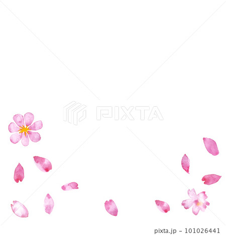 水彩で描いた春の桜花びら。風に舞う花びらイラスト。のイラスト