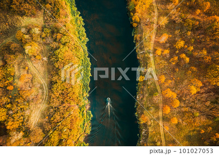 Aerial view of forest woods and river marsh bog in autumn sunny day. Bird's eye view of marsh bog. Top view of beautiful european nature landscape from high attitude in autumn season. Drone view. Flat 101027053