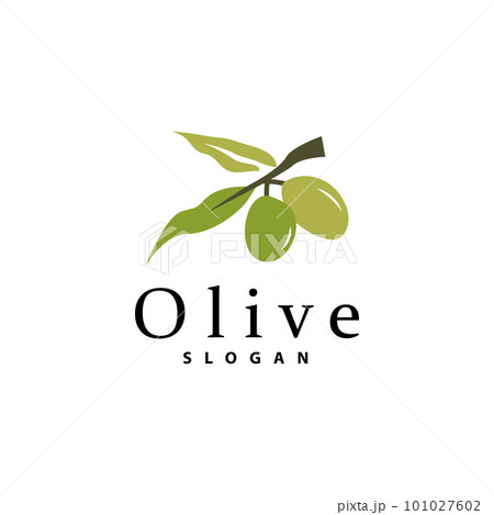 Olive Oil Logo, Olive Leaf Plant Herbal Garden Vector, Simple Elegant Luxurious Icon Design Template illustration Olive Oil Logo, Olive Leaf Plant Herbal Garden Vector, Simple Elegant Luxurious Icon Design Template illustration 101027602