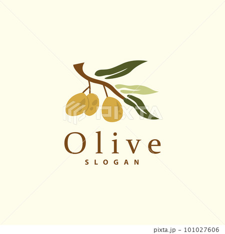 Olive Oil Logo, Olive Leaf Plant Herbal Garden Vector, Simple Elegant Luxurious Icon Design Template illustration 101027606