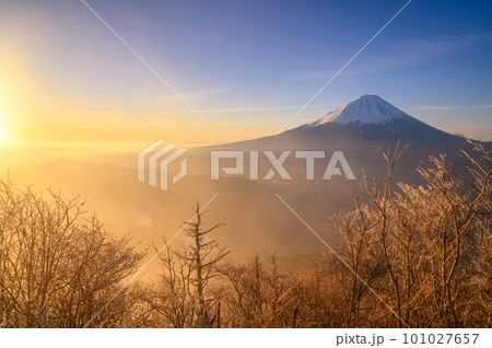 （山梨県）王岳展望・朝霧に包まれる富士山の絶景 101027657
