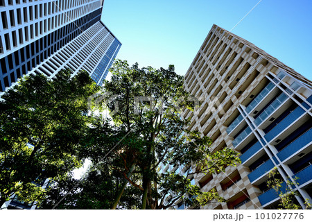 勝どきエリアのKACHIDOKI THE TOURほか高層マンションの風景 101027776