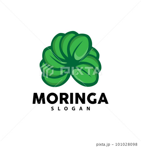 Leaf Logo, Eco Green Plant Vector, Green Earth Care Recycling Design, Moringa Leaf Logo Icon Template Illustration Leaf Logo, Eco Green Plant Vector, Green Earth Care Recycling Design, Moringa Leaf Logo Icon Template Illustration 101028098