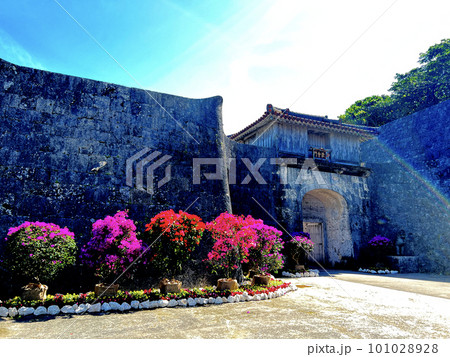 沖縄首里城公園に咲いたブーゲンビリアの花 沖縄首里城公園に咲いたブーゲンビリアの花 101028928