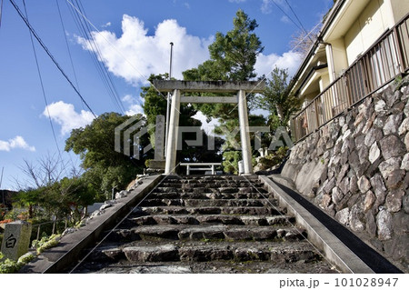 美多羅志神社(三重県鳥羽市・答志島)の鳥居 美多羅志神社(三重県鳥羽市・答志島)の鳥居 101028947