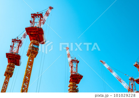 大規模工事現場で青空に伸びる多数のクレーン　c-3 ライトトーン 101029228