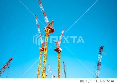 大規模工事現場で青空に伸びる多数のクレーン　a-1 101029238