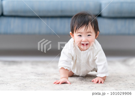赤ちゃん　ハイハイ　お座り　笑顔 101029906