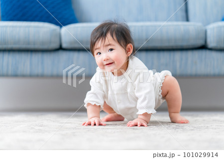 赤ちゃん　ハイハイ　お座り　笑顔 101029914