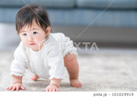 赤ちゃん ハイハイ お座り 笑顔 赤ちゃん ハイハイ お座り 笑顔 101029919