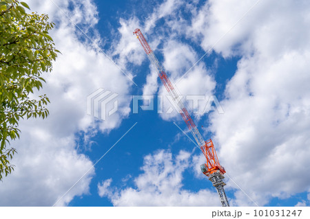 タワークレーン 青空 街路樹 タワークレーン 青空 街路樹 101031247