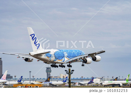春の空港 着陸する飛行機の後ろ姿 千葉県成田市 春の空港 着陸する飛行機の後ろ姿 千葉県成田市 101032253