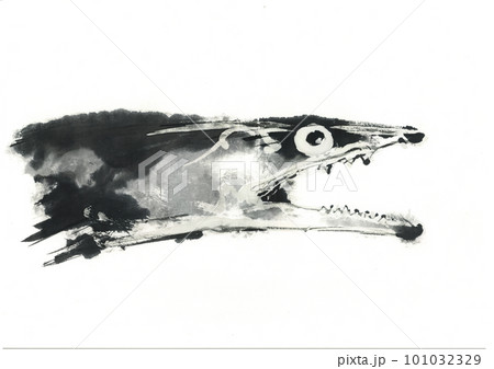 イラスト 鱧 はも イラスト 鱧 はも 101032329