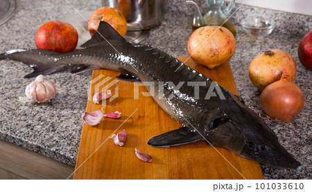 Raw sturgeon with pomegranates and spices on stone tabletop Raw sturgeon with pomegranates and spices on stone tabletop 101033610