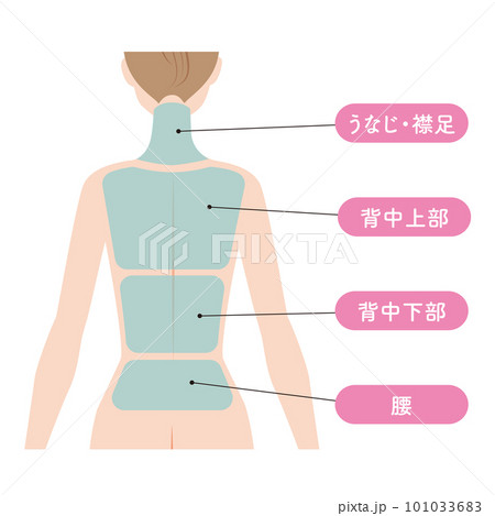 背中の脱毛の範囲 101033683