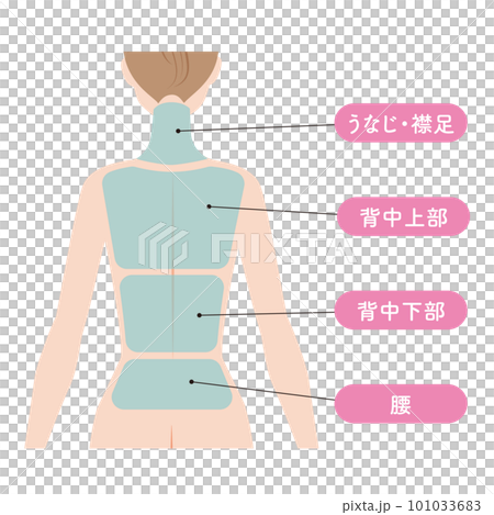 背中の脱毛の範囲 101033683
