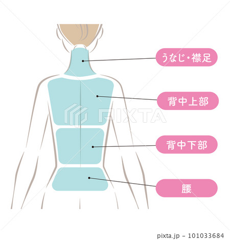 背中の脱毛の範囲 101033684