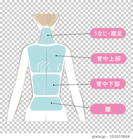 背中の脱毛の範囲 101033684