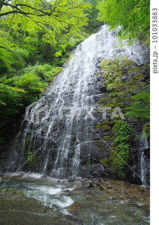 龍双ヶ滝 福井県今立郡池田町 龍双ヶ滝 福井県今立郡池田町 101033863
